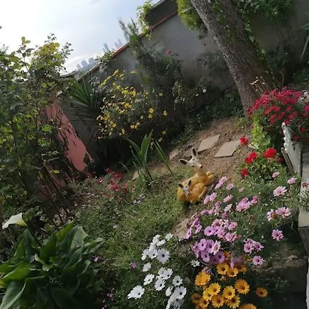 A Beautiful House On The Bosphorus In A Wonderful Garden Istanboel
