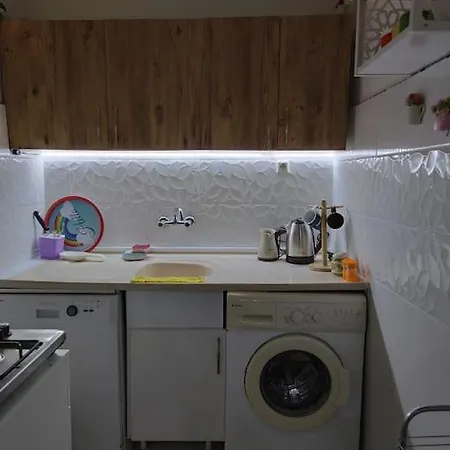 A Beautiful House On The Bosphorus In A Wonderful Garden