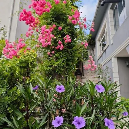 Vakantiehuis A Beautiful House On The Bosphorus In A Wonderful Garden *