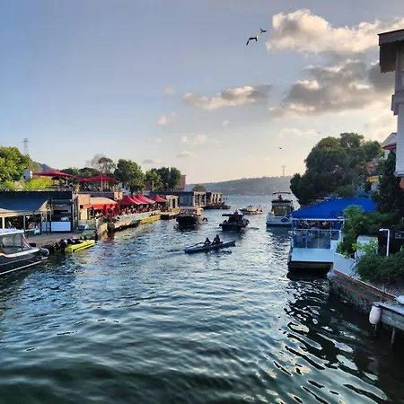 A Beautiful House On The Bosphorus In A Wonderful Garden *