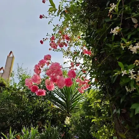 A Beautiful House On The Bosphorus In A Wonderful Garden Istanboel