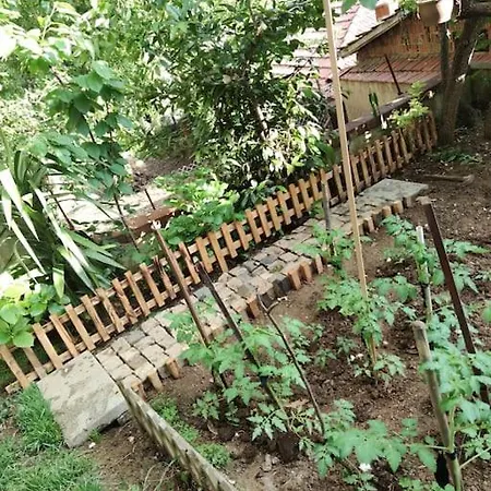 A Beautiful House On The Bosphorus In A Wonderful Garden Istanboel