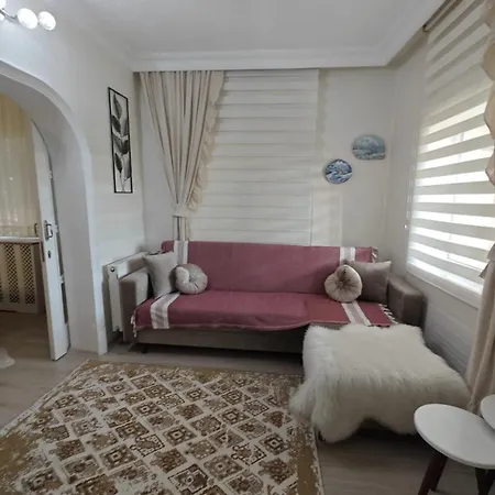 A Beautiful House On The Bosphorus In A Wonderful Garden Istanboel