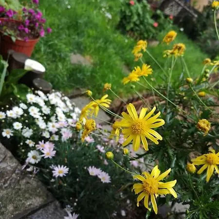 A Beautiful House On The Bosphorus In A Wonderful Garden Hébergement de vacances Istambul