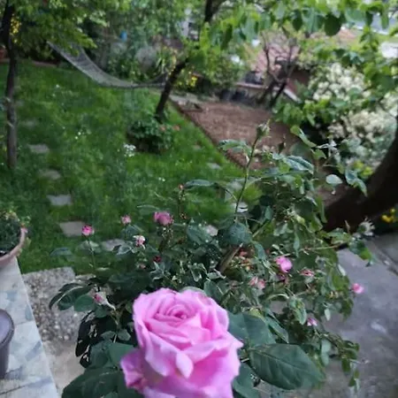 Hébergement de vacances A Beautiful House On The Bosphorus In A Wonderful Garden Istambul