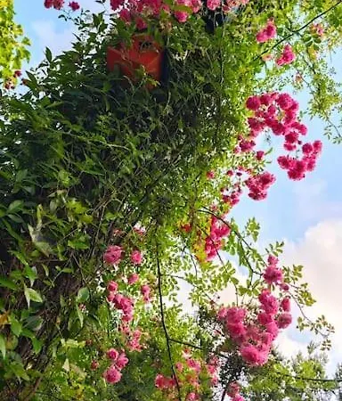 A Beautiful House On The Bosphorus In A Wonderful Garden Hébergement de vacances Istambul