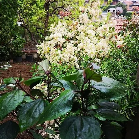 A Beautiful House On The Bosphorus In A Wonderful Garden Hébergement de vacances *