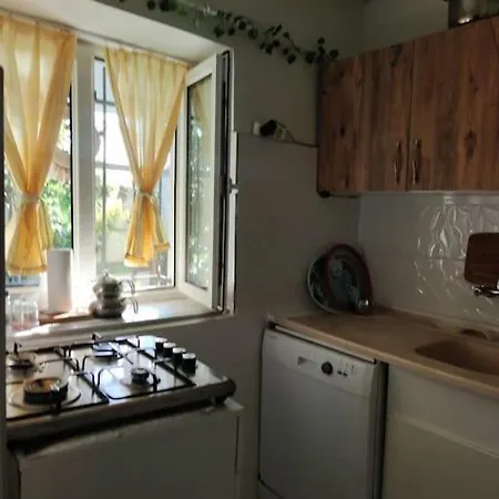 A Beautiful House On The Bosphorus In A Wonderful Garden Hébergement de vacances Istambul