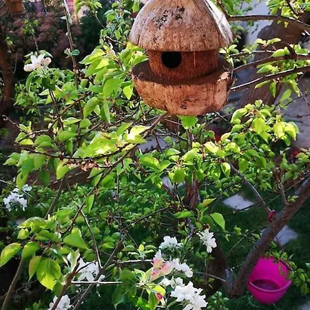 A Beautiful House On The Bosphorus In A Wonderful Garden *