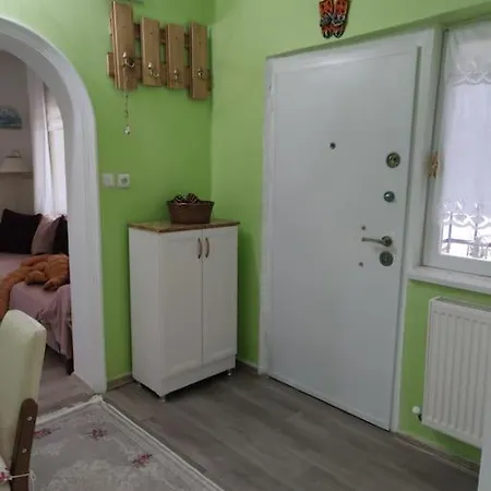 A Beautiful House On The Bosphorus In A Wonderful Garden Hébergement de vacances *