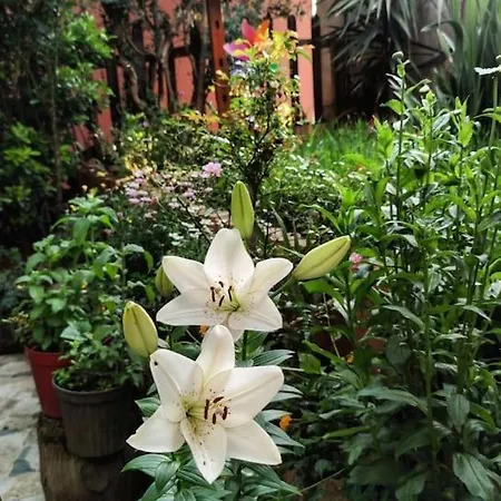 A Beautiful House On The Bosphorus In A Wonderful Garden * Istambul