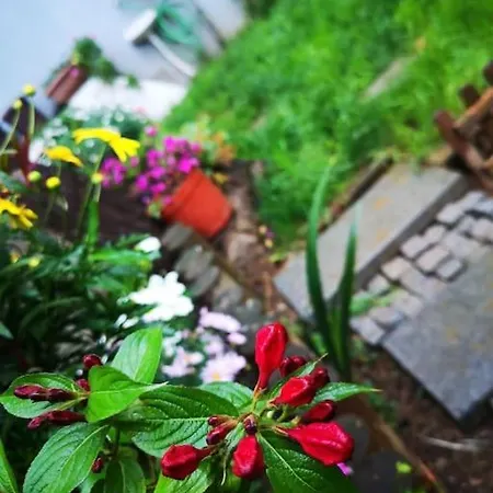 Hébergement de vacances A Beautiful House On The Bosphorus In A Wonderful Garden *