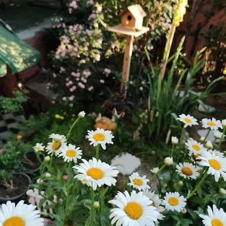 A Beautiful House On The Bosphorus In A Wonderful Garden Hébergement de vacances Istambul