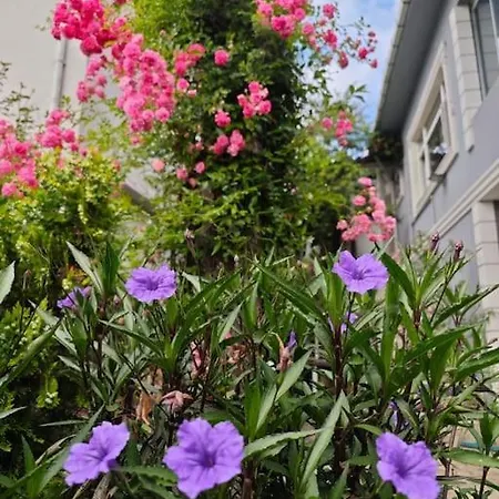 A Beautiful House On The Bosphorus In A Wonderful Garden Hébergement de vacances *