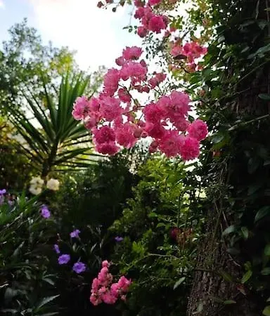 A Beautiful House On The Near The Bosphorus In Wonderful Garden * Istanbul