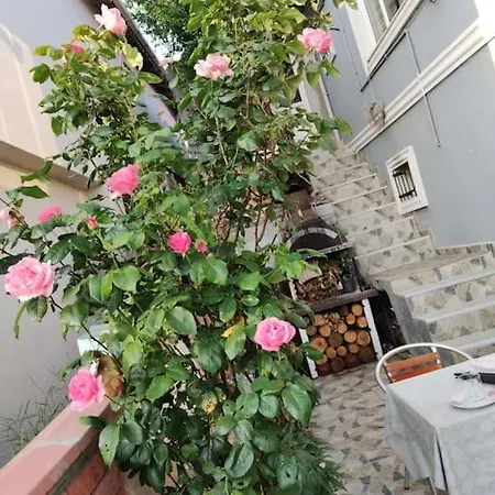 A Beautiful House On The Near The Bosphorus In Istanbul Wonderful Garden