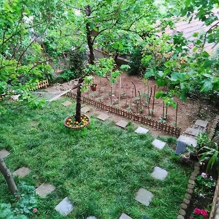 A Beautiful House On The Near The Bosphorus In Wonderful Garden *