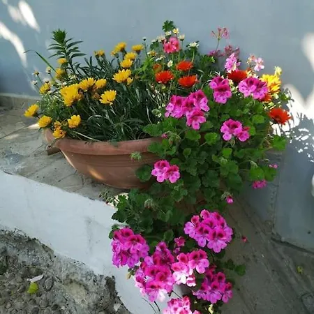 A Beautiful House On The Near The Bosphorus In Wonderful Garden Holiday home Istanbul