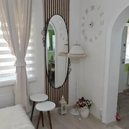 A Beautiful House On The Near The Bosphorus In Istanbul Wonderful Garden *