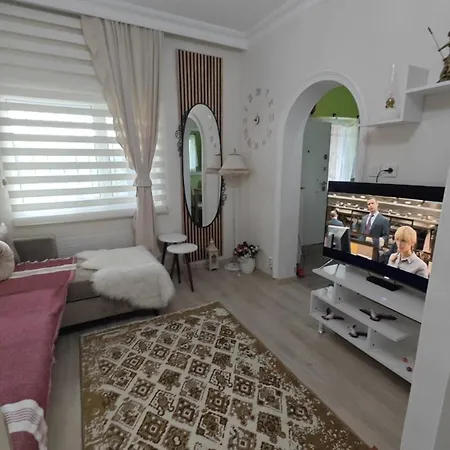 A Beautiful House On The Near The Bosphorus In Istanbul Wonderful Garden * Istanbul