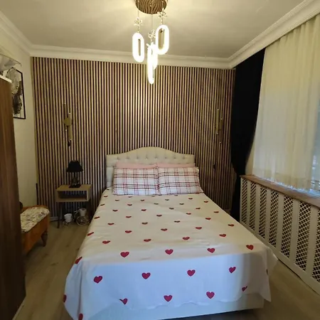A Beautiful House On The Near The Bosphorus In Istanbul Wonderful Garden Ferienhaus
