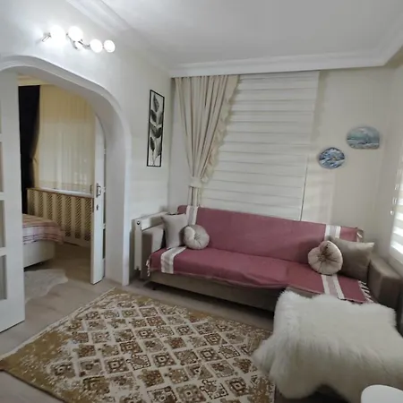 Ferienhaus A Beautiful House On The Near The Bosphorus In Istanbul Wonderful Garden