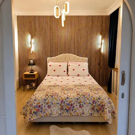 A Beautiful House On The Near The Bosphorus In Wonderful Garden Holiday home *