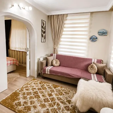 Holiday home A Beautiful House On The Near The Bosphorus In Wonderful Garden Istanbul