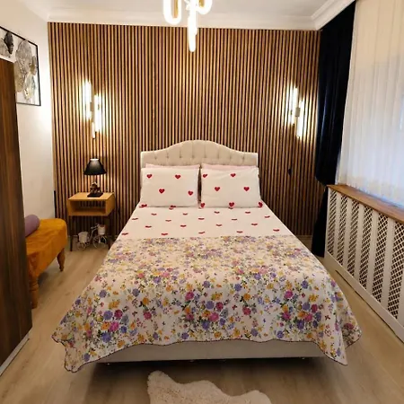 A Beautiful House On The Near The Bosphorus In Wonderful Garden Holiday home *
