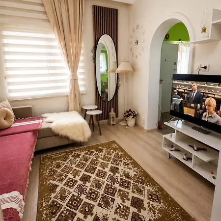 A Beautiful House On The Near The Bosphorus In Wonderful Garden *