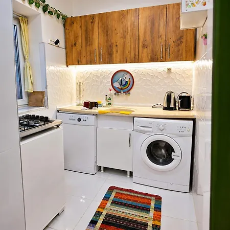 A Beautiful House On The Near The Bosphorus In Wonderful Garden Holiday home