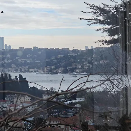 A Beautiful House On The Near The Bosphorus In Wonderful Garden Holiday home