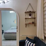 A Beautiful House On The Bosphorus In A Wonderful Garden *