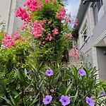 Feriehus A Beautiful House On The Bosphorus In A Wonderful Garden *