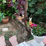 A Beautiful House On The Bosphorus In A Wonderful Garden *