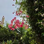 A Beautiful House On The Bosphorus In A Wonderful Garden Istanbul