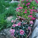 A Beautiful House On The Bosphorus In A Wonderful Garden Feriehus