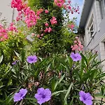 A Beautiful House On The Bosphorus In A Wonderful Garden Feriehus *
