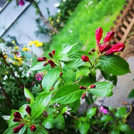 Σπίτι διακοπών A Beautiful House On The Bosphorus In A Wonderful Garden *