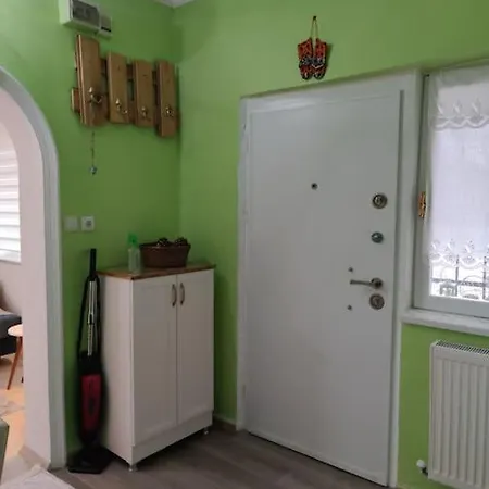 A Beautiful House On The Bosphorus In A Wonderful Garden *